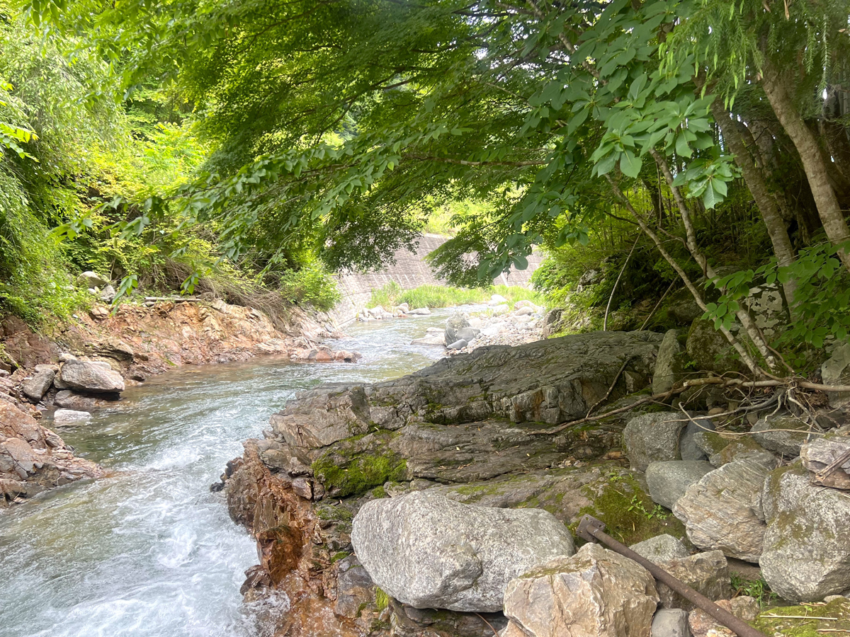 山内農園　豊根村