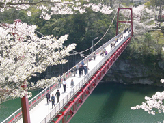 樱渊公园