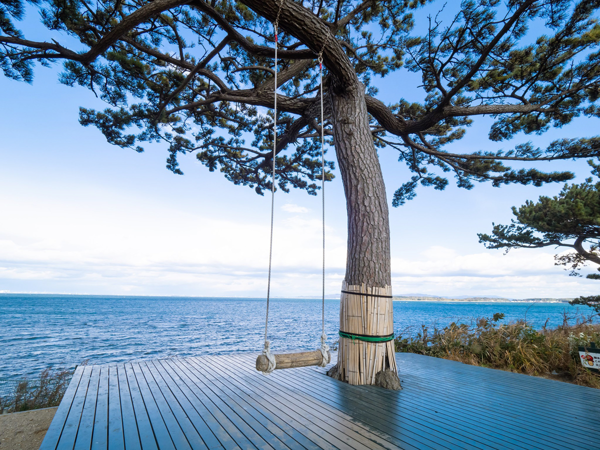 Lovers' Swing