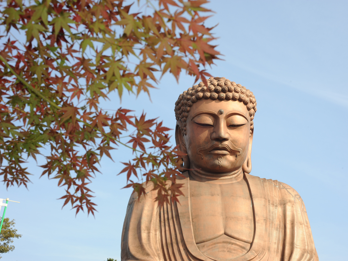 Great Buddha of Shurakuen Park