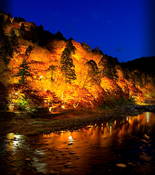 Aichi’s Amazing Autumn Attractions